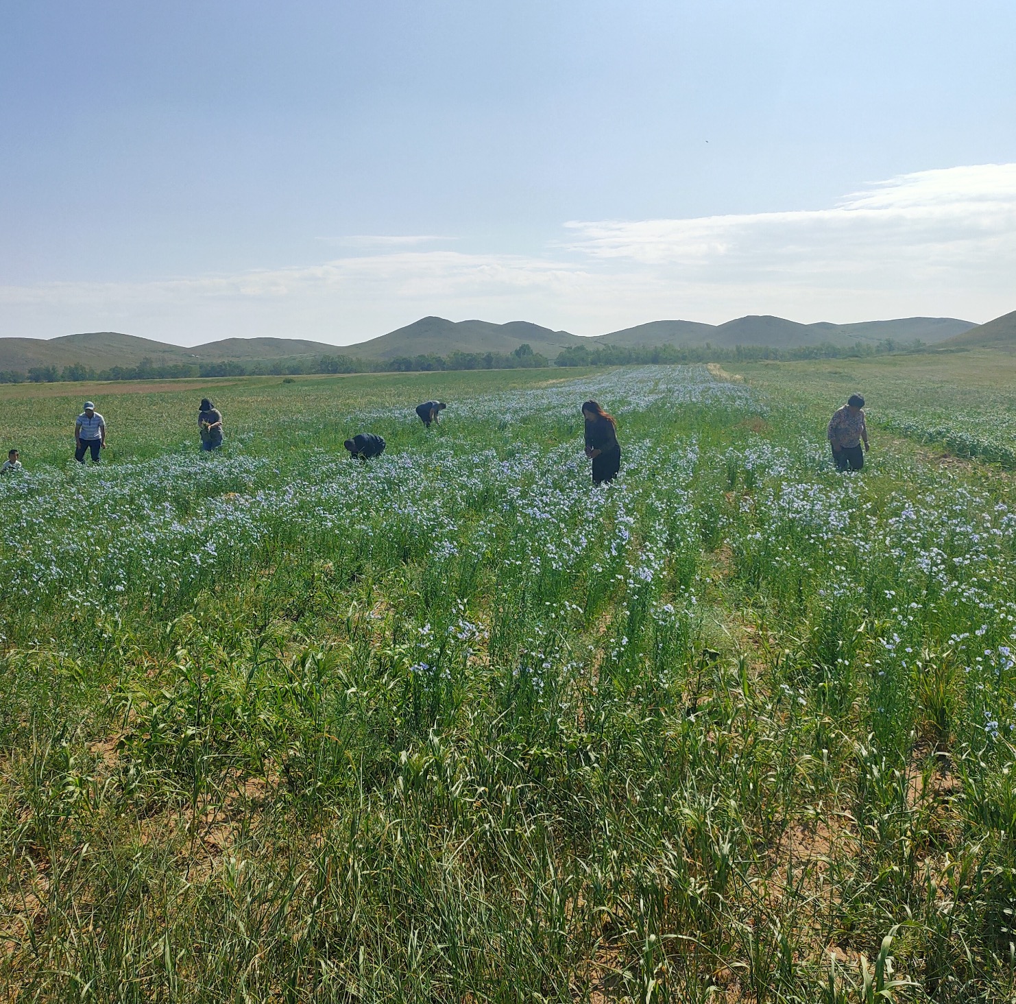 太阳GG(中国游)官方网站