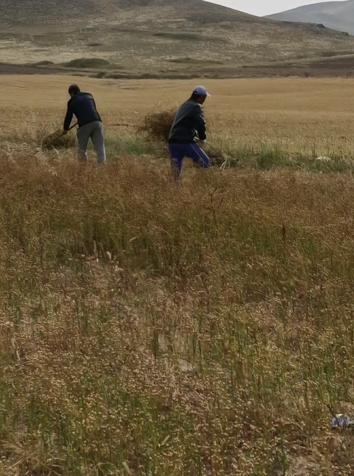 太阳GG(中国游)官方网站